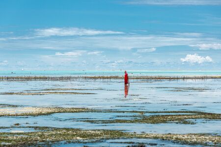 African woman walking in ocean during low tide between algae fieldsの写真素材