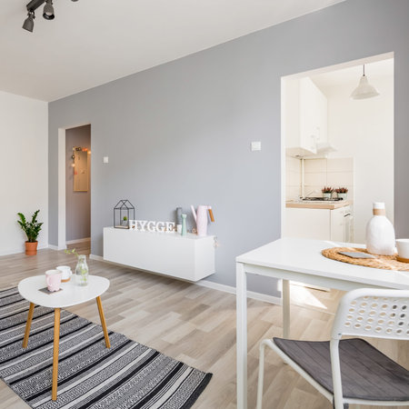 Apartment in scandinavian style with living room open to kitchen