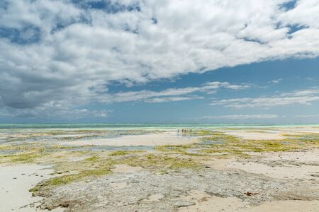Amazing wide view of low tide on Indian Oceanの写真素材