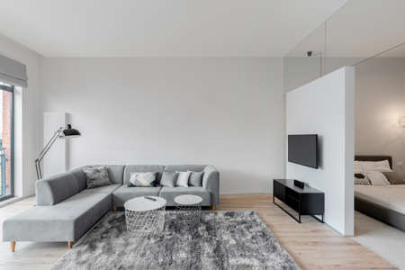 Spacious white and gray living room with television screen next to bedroomの写真素材