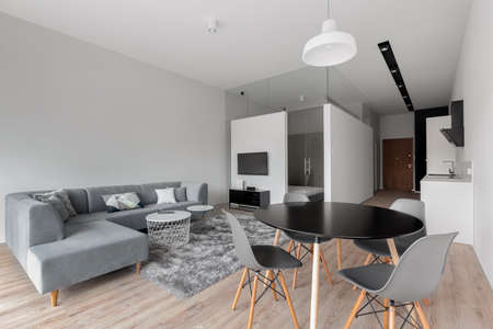 Stylish and designed open plan apartment with living room open to kitchen in corridor and bedroom behind glass wall and doorの写真素材