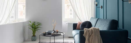 Panorama of small and bright living room with stylish blue sofa with decorative pillows, simple, black coffee table and with windows with white curtainsの写真素材