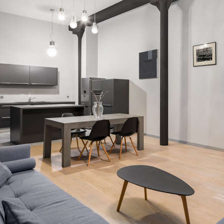 Stylish loft apartment with spacious kitchen with modern, gray dining table open to living room with gray sofa and small coffee tableの写真素材