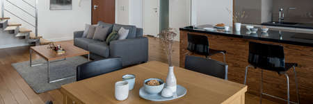 Panorama of small, open space apartment with living room, kitchen, dining area in one roomの写真素材