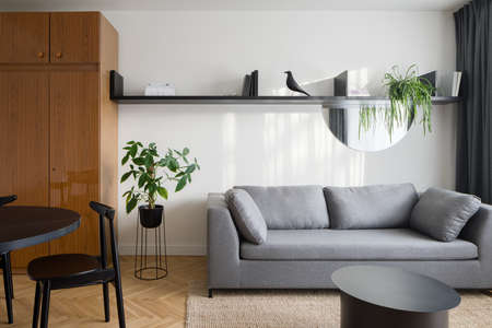 Eclectic style living room with retro and modern furniture and decorationsの写真素材