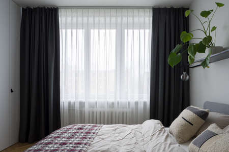 Simple, comfortable and bright bedroom with cozy bed, nice houseplant and big window with decorative curtainsの写真素材