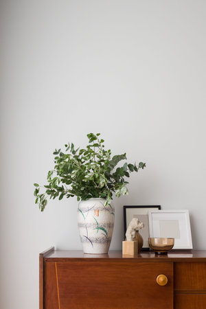 Stylish vase with green plants next to nice decorations on vintage, wooden sideboard