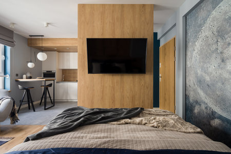 Modern and stylish studio apartment with bedroom with tv and wooden wall open to kitchen with table for twoの写真素材