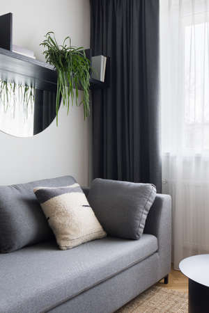 Simple and cozy gray couch with pillows under black shelf with decorations, plant and mirror in room with big window behind curtainsの写真素材
