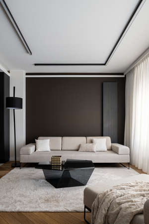 Elegant couch with modern coffee table in stylish living room with ceiling lighting and fluffy carpetの写真素材
