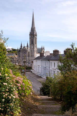View from park on houses and St. Colman's Cathedral in Cobh, Irelandの写真素材