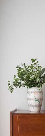 Vertical panorama of stylish vase with green eucalyptus plants on vintage, wooden sideboardの写真素材