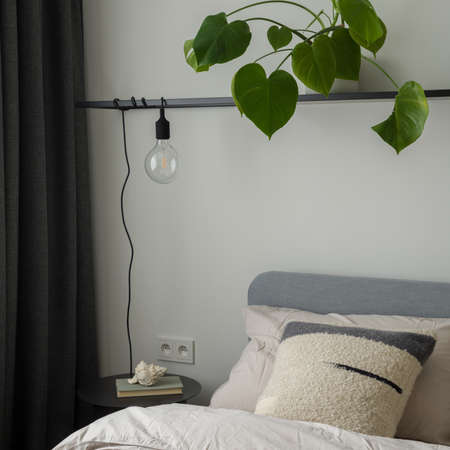 Close-up on modern bedroom lamp made from lightbulb on shelf with plantの写真素材
