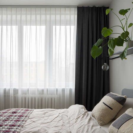 Small and bright bedroom with cozy bed, nice houseplant and big window with decorative curtainsの写真素材