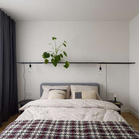 Cozy and big bed under black shelf with light bulbs and plant in simple decorated bedroomの写真素材