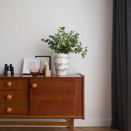 Vintage, wooden sideboard with small drawers and with stylish decorations, vase with plant and framesの写真素材