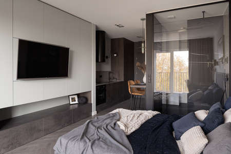 Stylish and small studio apartment with bedroom with tv open to kitchen and shower behind glass wallの写真素材
