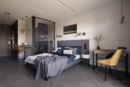 Modern, open plan studio apartment with big, cozy bed and shower behind glass wallの写真素材