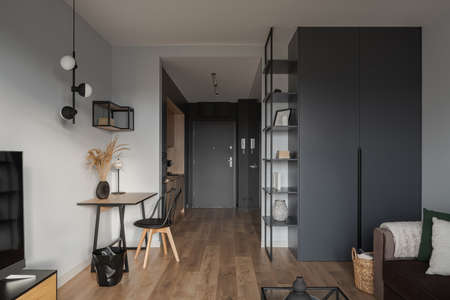 Stylish micro apartment for one, with living room open to home office and kitchen in corridorの写真素材