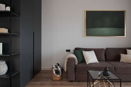 Simple and stylish living room with art, cozy couch, big wardrobe with shelves and decorationsの写真素材