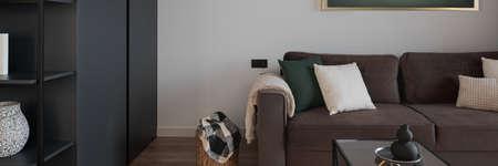 Panorama of cozy couch, big wardrobe with shelves and decorations in small living roomの写真素材