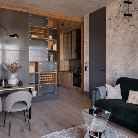 Small and modern apartment interior with kitchen in corridor open to living room with dining tableの写真素材