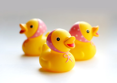 Ducksの写真素材