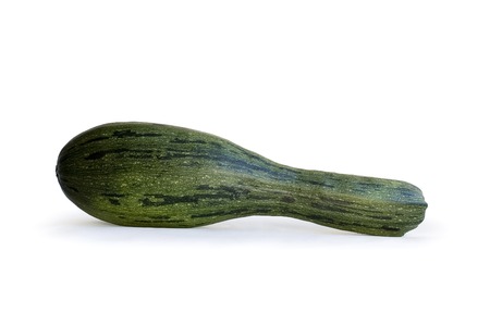 Marrow on the white backgroundの写真素材