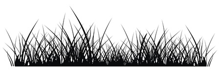 vector silhouette of grass on white backgroundのイラスト素材