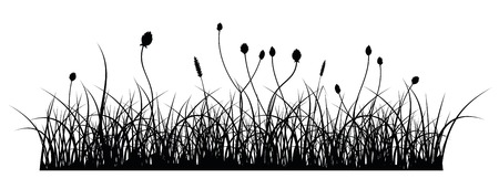 vector silhouette of grass on white backgroundのイラスト素材