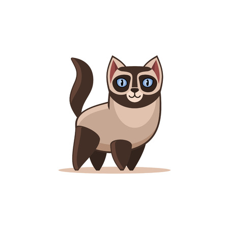 Siamese Cat Isolated on the White Background. のイラスト素材