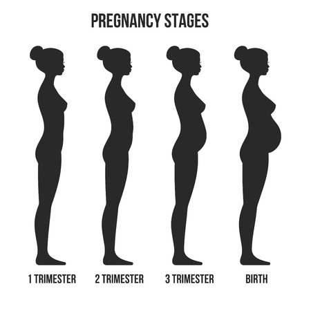 Pregnancy Stages and Birth Infographics Silhouette. Vector illustration.のイラスト素材