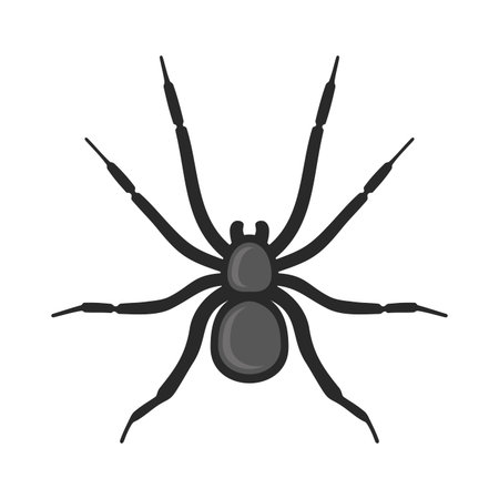 Black Spider Icon on White Background. Vector illustration
