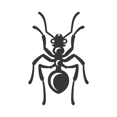 Ant Icon on White Background. Vectorのイラスト素材