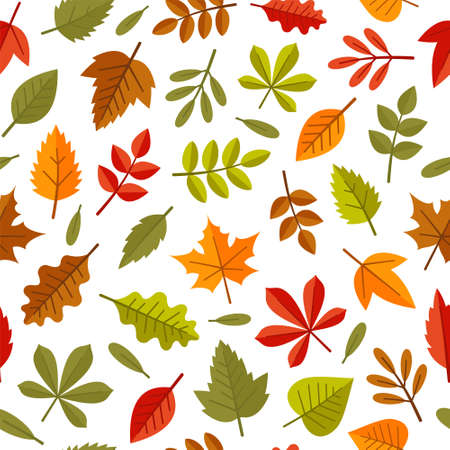 Autumn Leaves Seamless Pattern on White Background. Vectorのイラスト素材