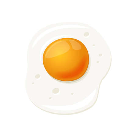 Realistic Fried Egg on White Background. Vectorのイラスト素材