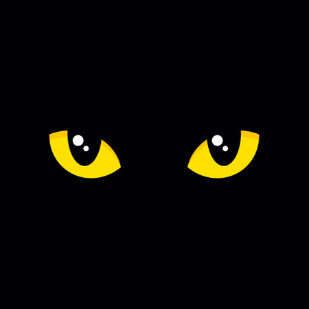 Cat Eyes on Black Background. Vectorのイラスト素材