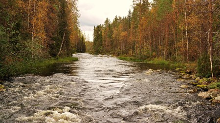 Finnish natureの写真素材