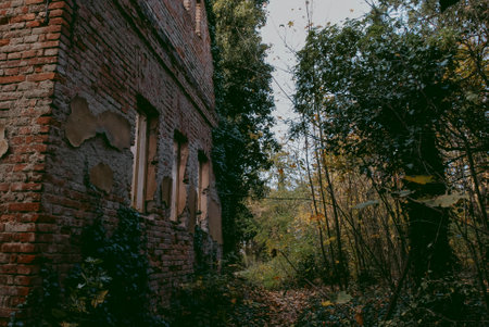 Ruins of morgue in Bohnice cemetery, urbex in Pragueの写真素材