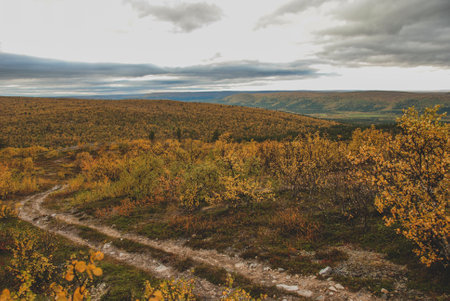 Scenery of mountains and autumn forests of Finnmark, Norwayの写真素材