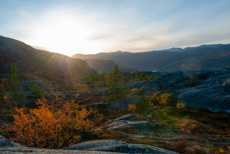 Autumn nature around Hjemmeluft in Alta, Finnmark, Norwayの写真素材