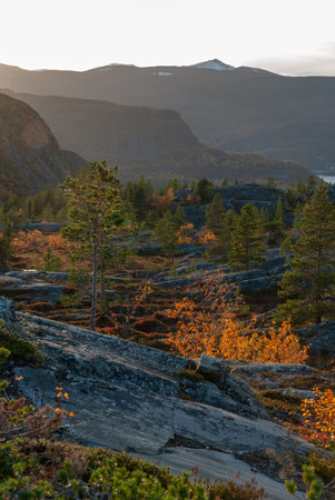 Autumn nature around Hjemmeluft in Alta, Finnmark, Norway