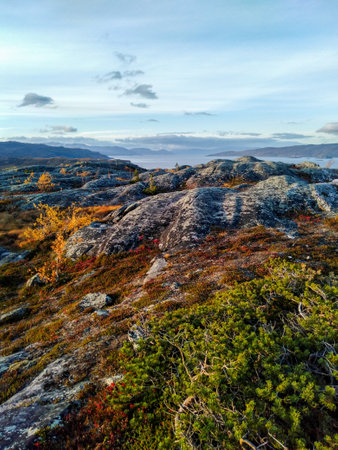 Nature around Hjemmeluft with the view of Altafjorden, Finnmark, Norwayの写真素材