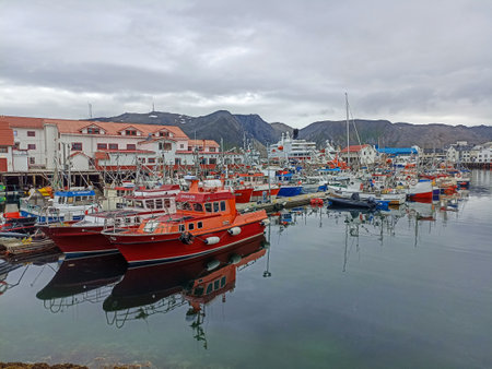 Honningsvag Harbor reflected in the sea, Norwayの写真素材