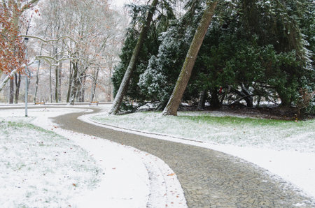 Santoska Park in Prague, the Czech Republic, covered in snow in the winterの写真素材