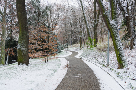 Santoska Park in Prague, the Czech Republic, covered in snow in the winterの写真素材