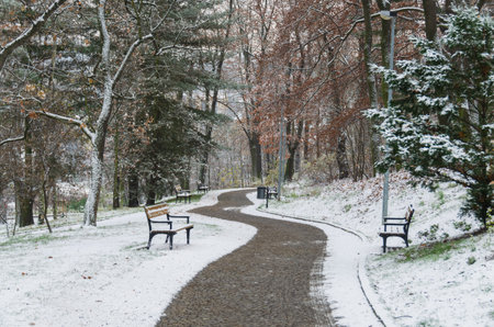 Santoska Park in Prague, the Czech Republic, covered in snow in the winter