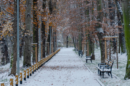Santoska Park in Prague, the Czech Republic, covered in snow in the winterの写真素材