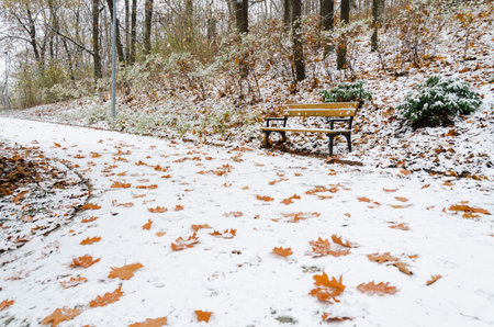 Santoska Park in Prague, the Czech Republic, covered in snow in the winter