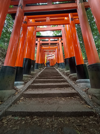 The torii gates of Fushimi Inari Taisha Shrine in Kyoto, Japanの写真素材